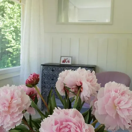 In Gemutlichem Landhaus In Seenahe Apartment